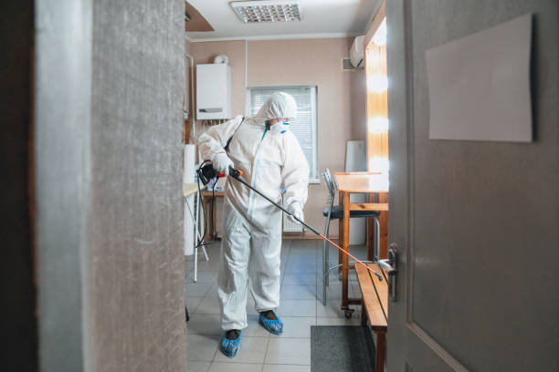 Best Residential Mold Inspection & Testing  in Parker, TX