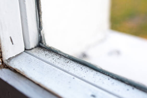Best Residential Mold Inspection & Testing  in Parker, TX