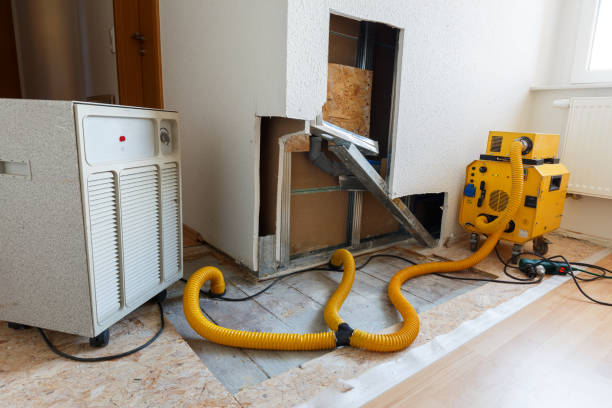 Best Forensic Mold Investigation  in Parker, TX