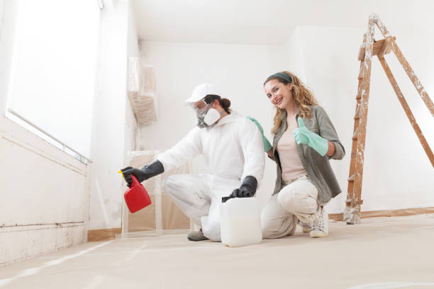 Best Mold Prevention Services  in Parker, TX